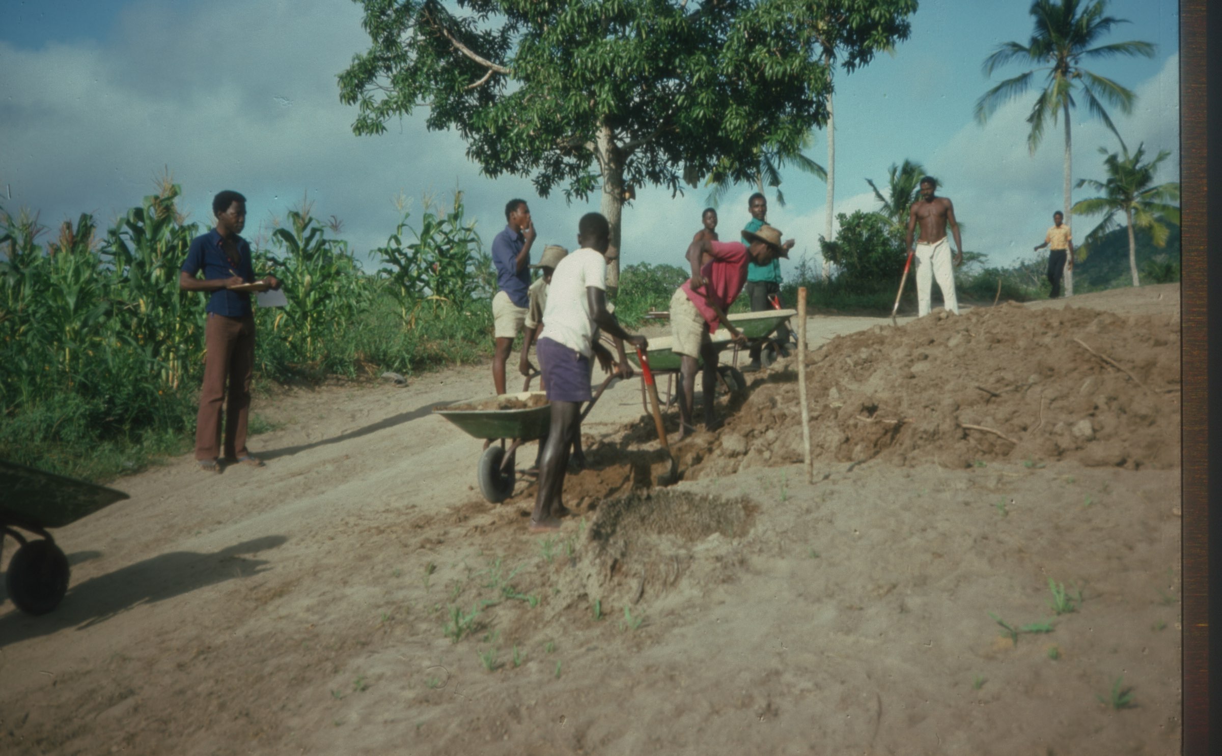 Men loading and hauling wheelbarrows up a steep incline while another man records with a clipboard