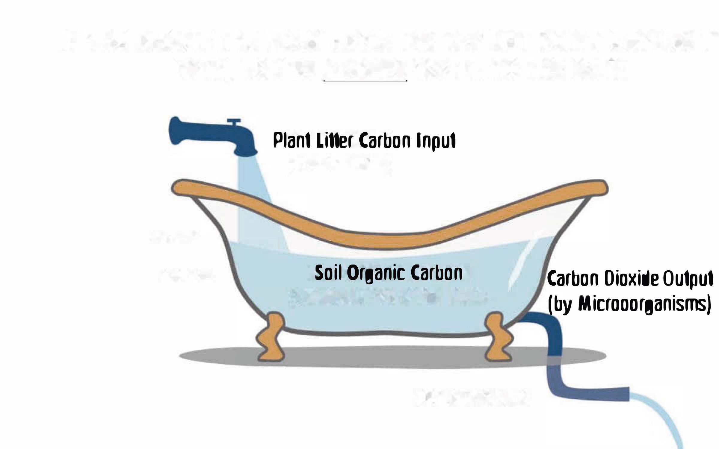 sketch of a bathtub indicating carbon input into and output from soil